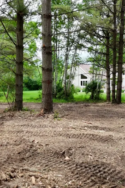indian lore land clearing and mulching 16