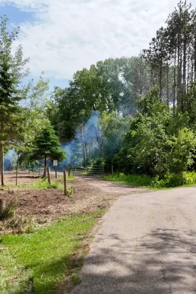 indian lore land clearing and mulching 21