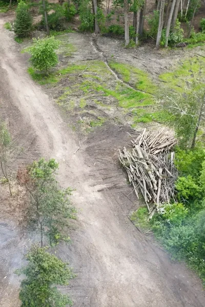 indian lore land clearing and mulching 25